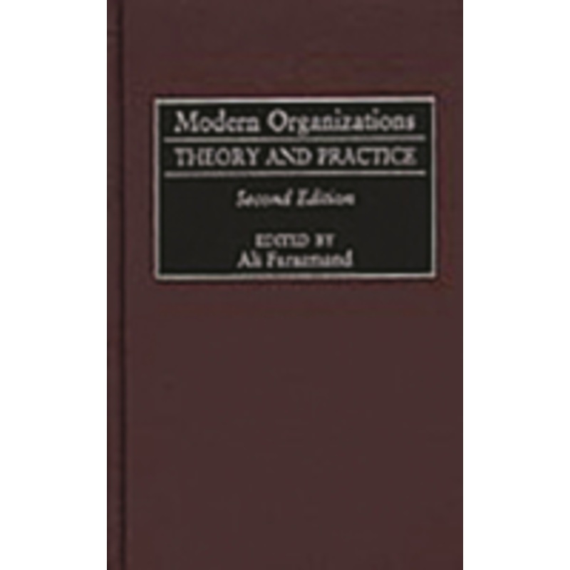 modern organizations: theory and practice