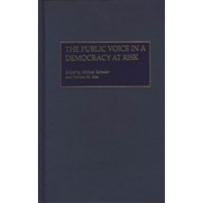 public voice in a democracy at risk