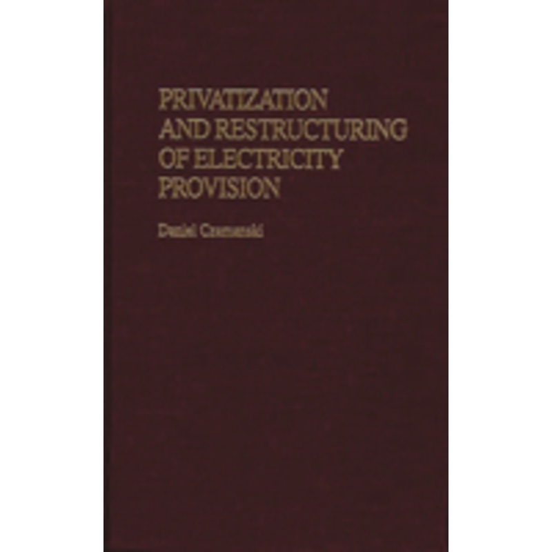 privatization and restructuring of electricity provision