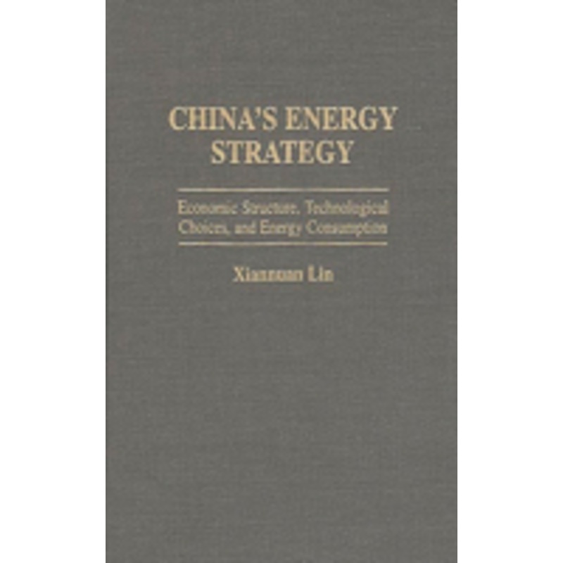 china’s energy strategy: economic structure, technological choices, and energy consumption