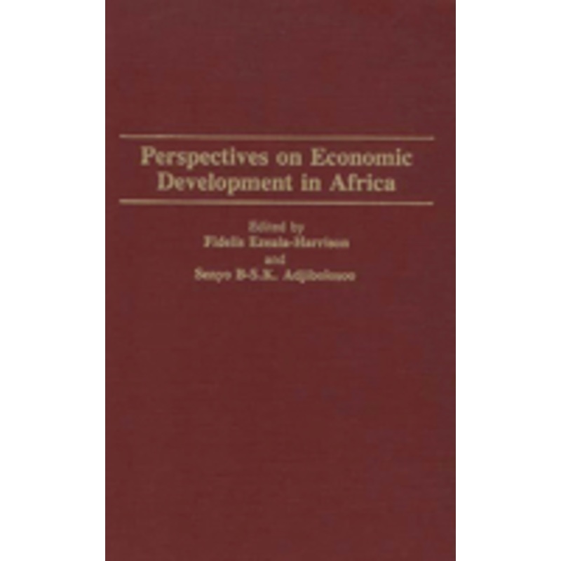perspectives on economic development in africa