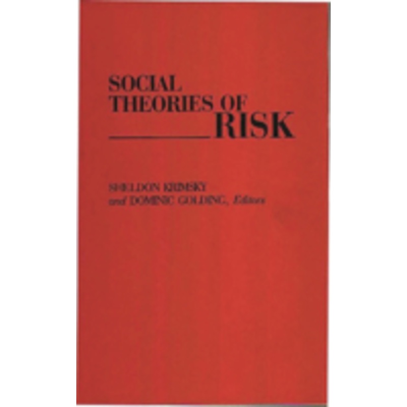 social theories of risk