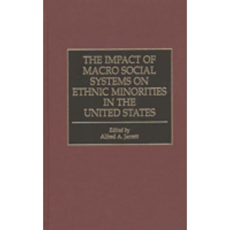 impact of macro social systems on ethnic minorities in the united states