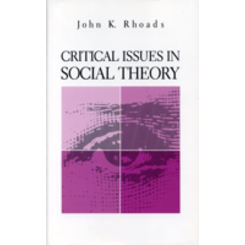 critical issues in social theory