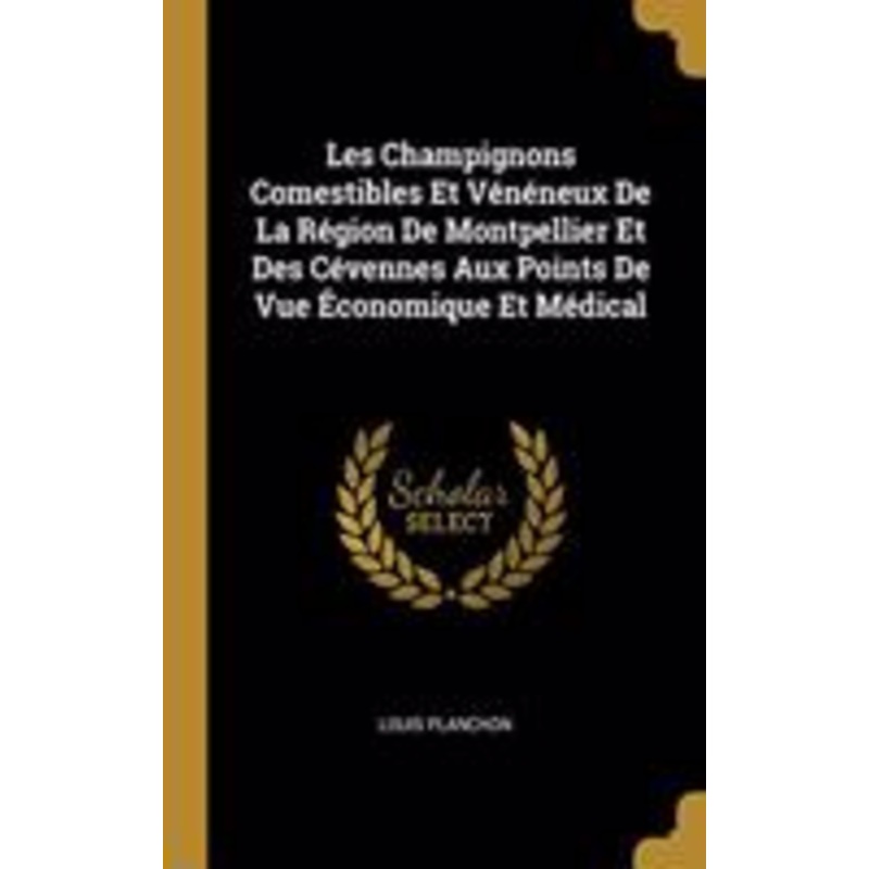 power from experience: urban popular movements in late twentieth-century mexico