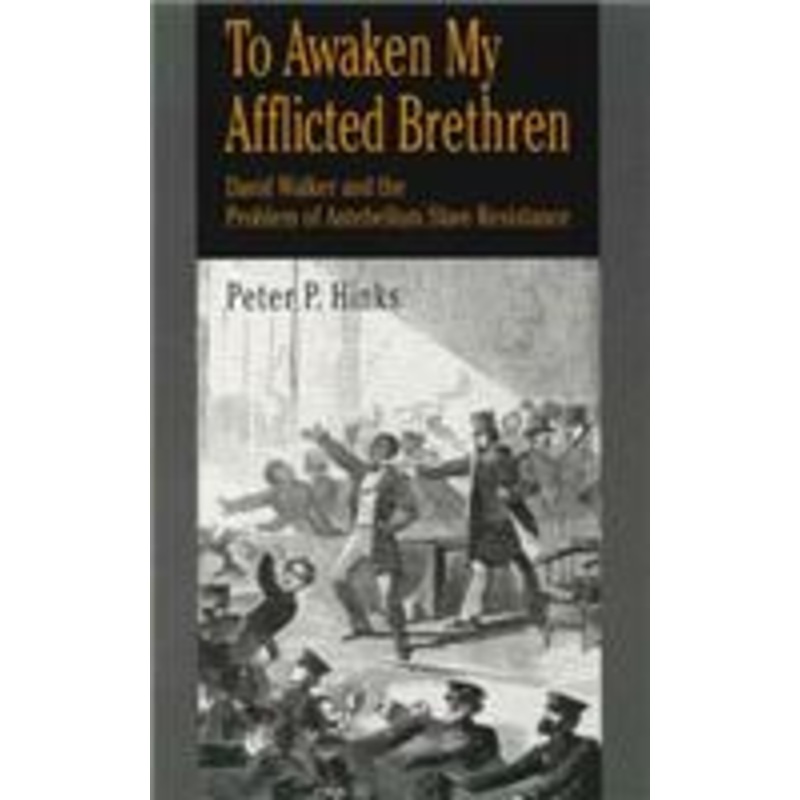 to awaken my afflicted brethren: david walker and the problem of antebellum slave resistance