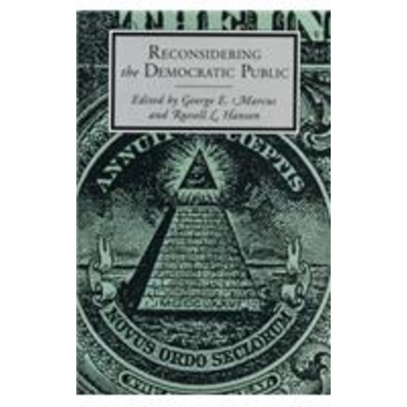 reconsidering the democratic public