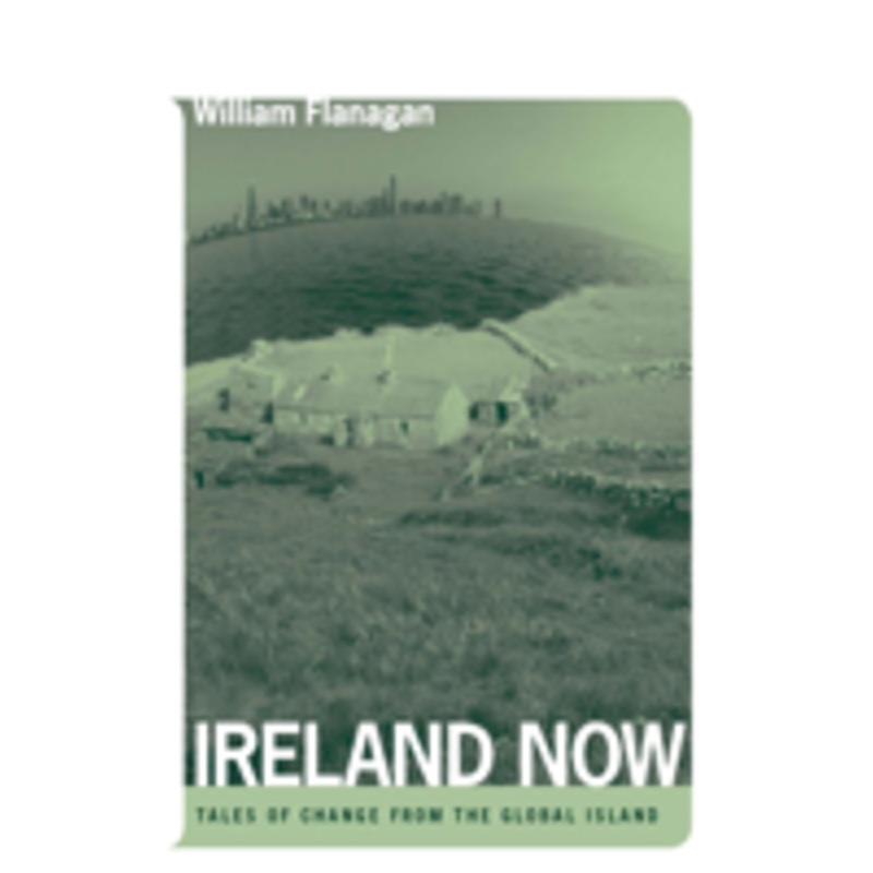 ireland now: tales of change from the global island