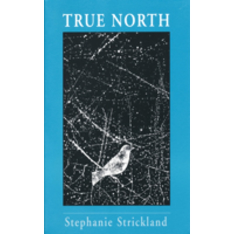 true north