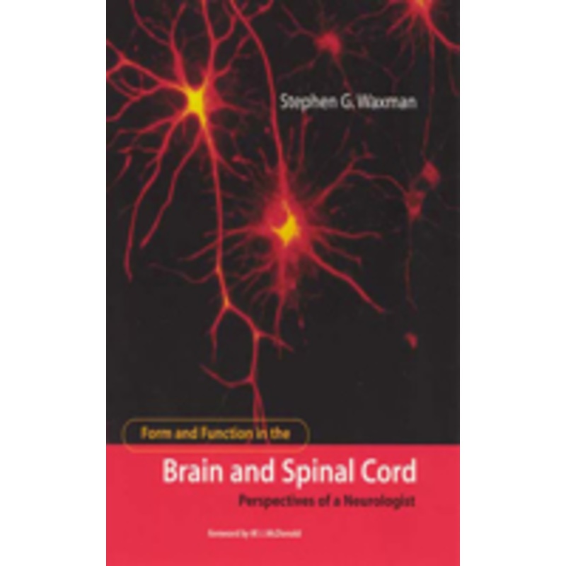 form and function in the brain and spinal cord: perspectives of a neurologist