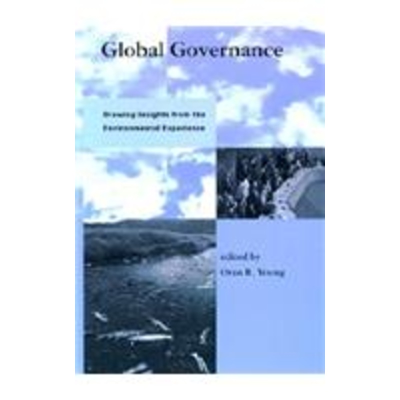 global governance: drawing insights from the environmental experience