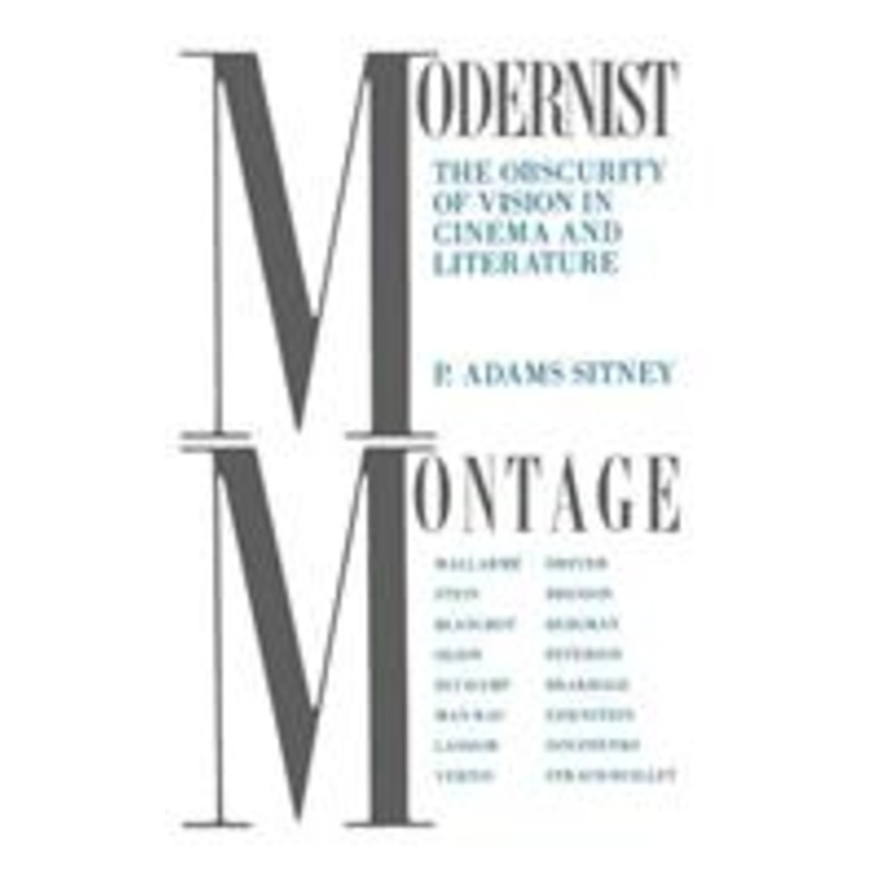 modernist montage: the obscurity of vision in cinema and literature