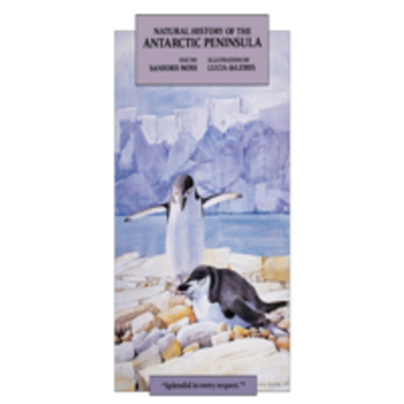 natural history of the antarctic peninsula