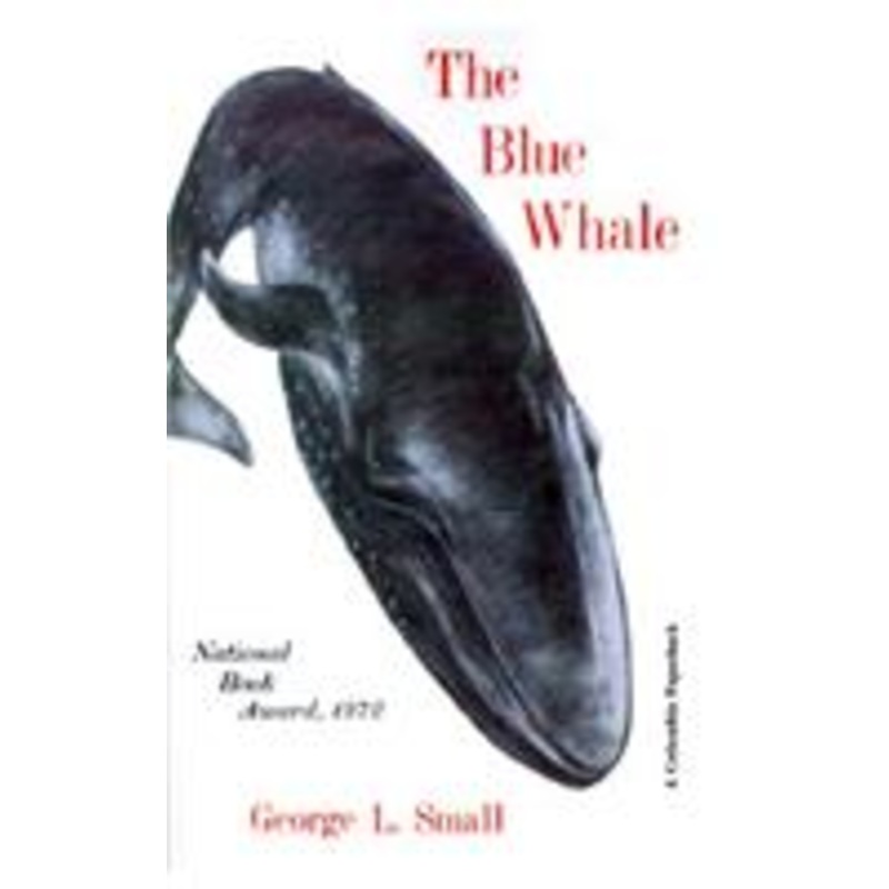 the blue whale