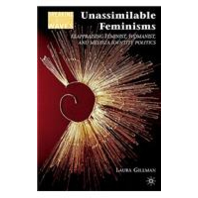 unassimilable feminisms: reappraising feminist, womanist, and mestiza identity politics