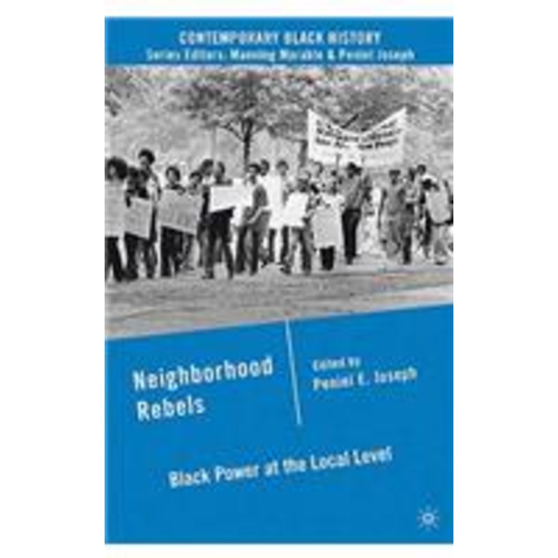 neighborhood rebels: black power at the local level