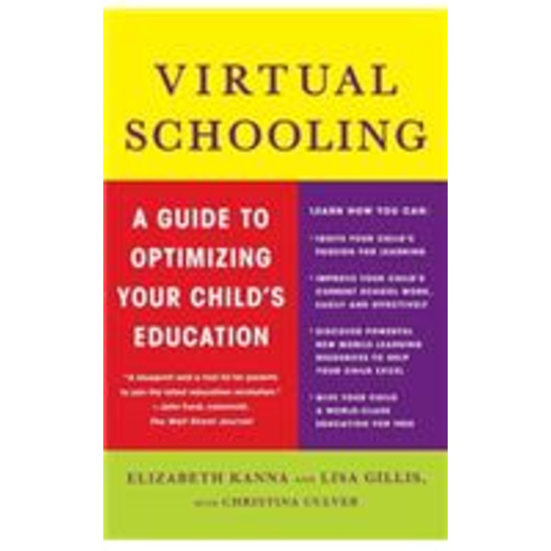 virtual schooling: a guide to optimizing your child’s education