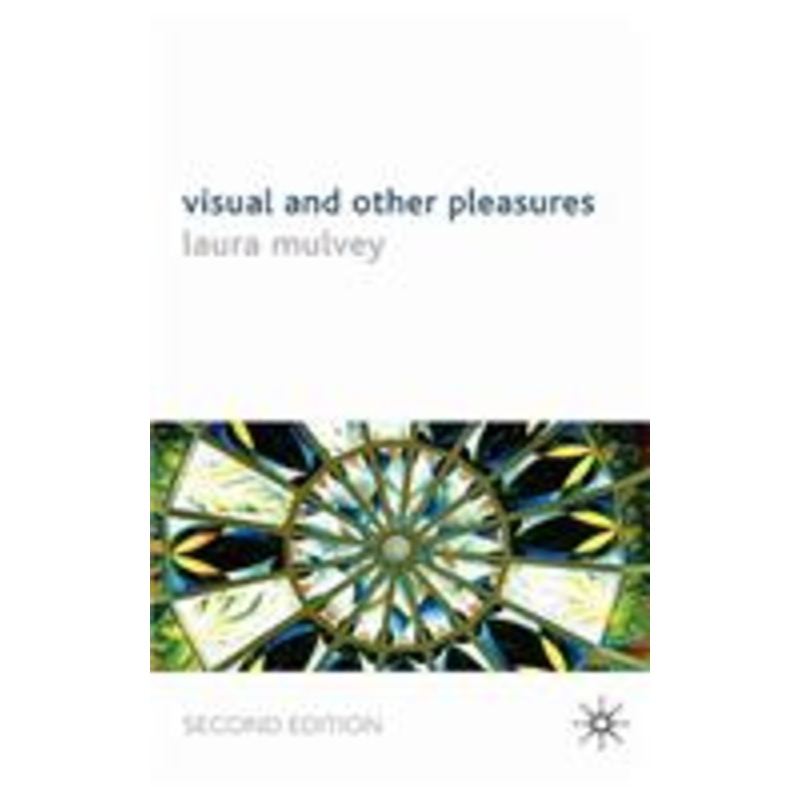 visual and other pleasures