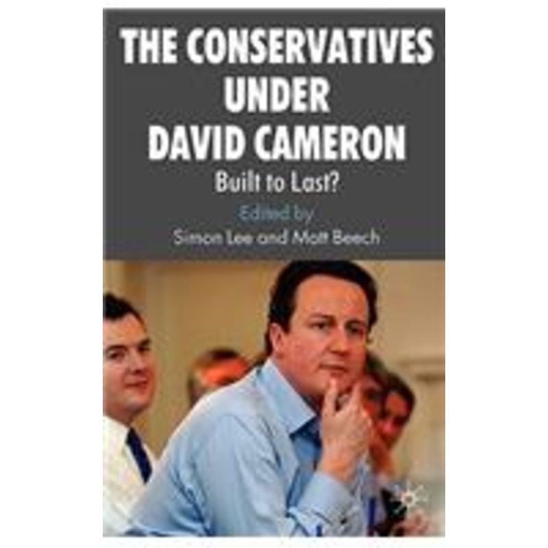 conservatives under david cameron: built to last?