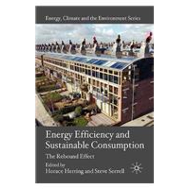 energy efficiency and sustainable consumption: the rebound effect