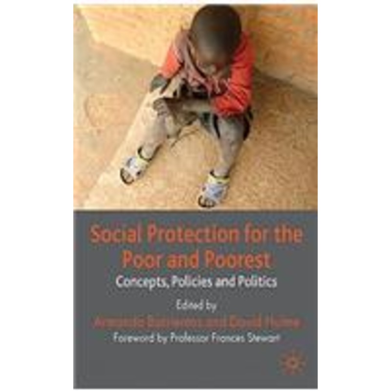 social protection for the poor and poorest: concepts, policies and politics