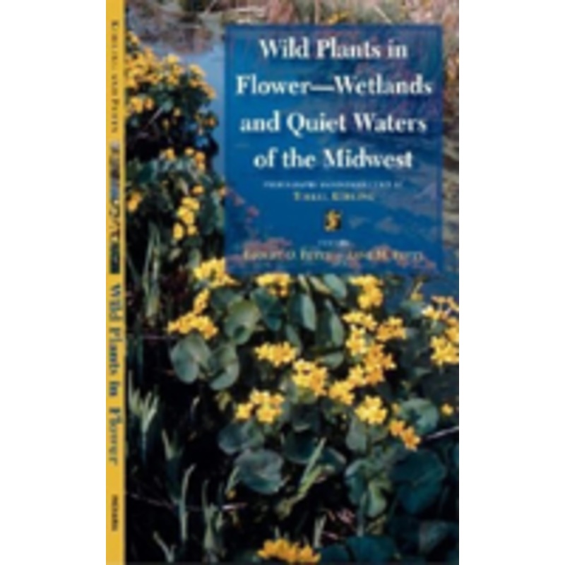wild plants in flower–wetlands and quiet waters of the midwest