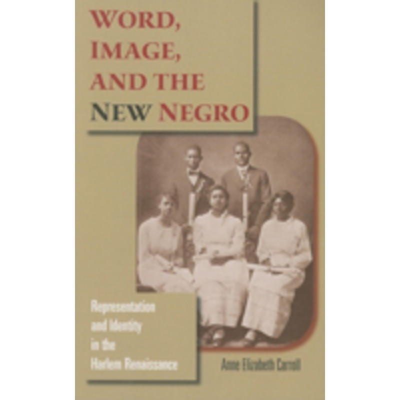 word, image, and the new negro: representation and identity in the harlem renaissance