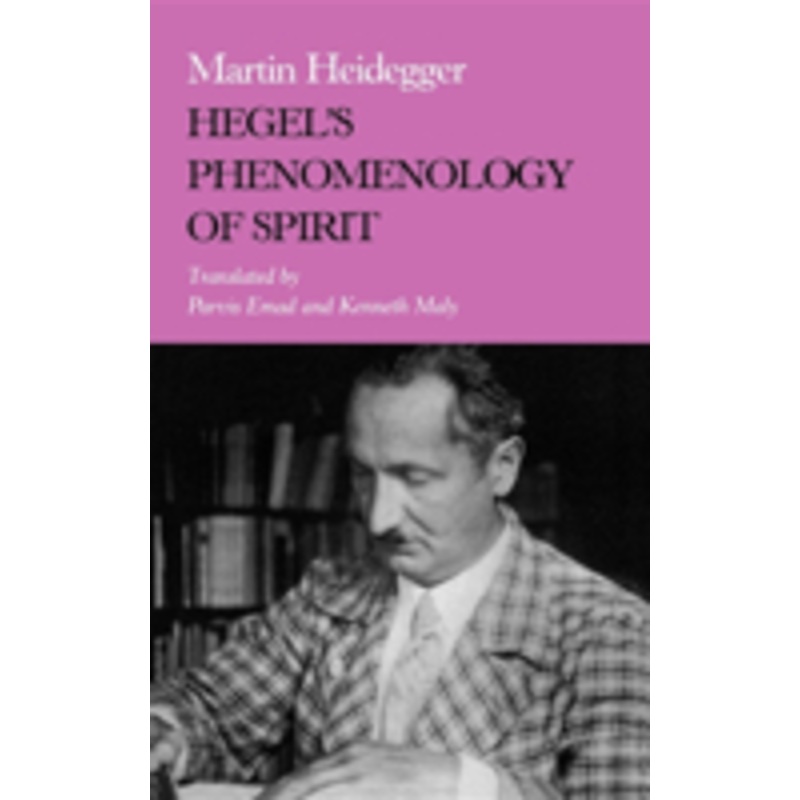 hegel’s phenomenology of spirit