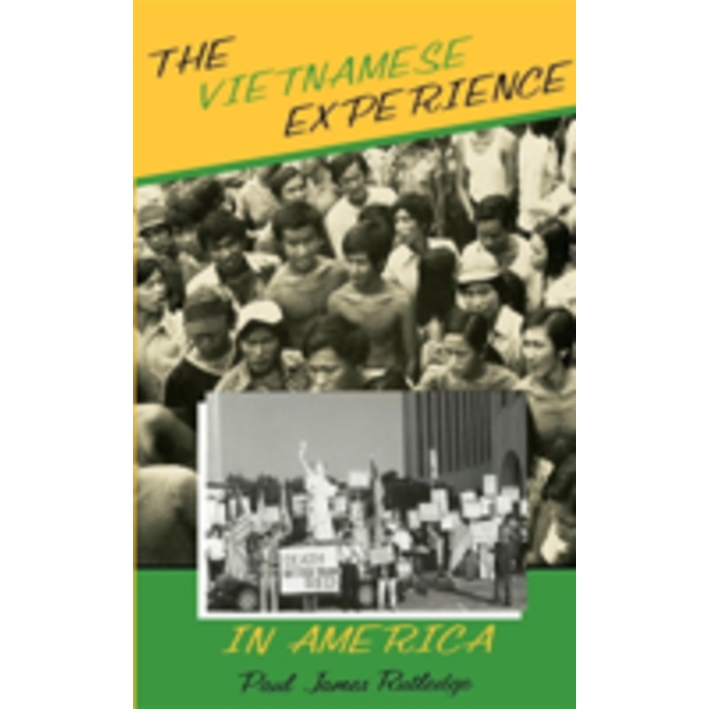 vietnamese experience in america