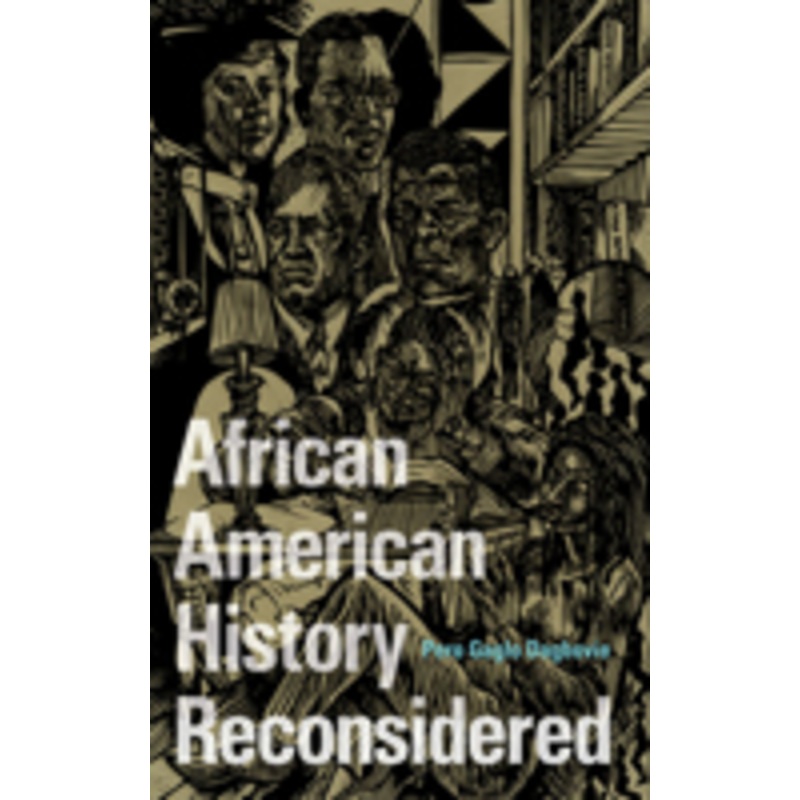 african american history reconsidered