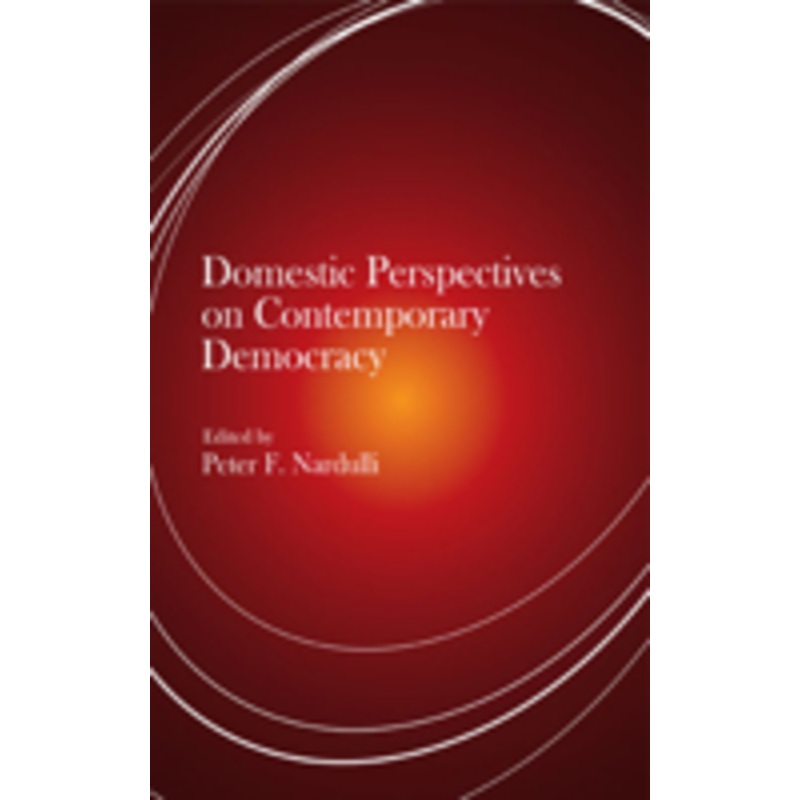 domestic perspectives on contemporary democracy
