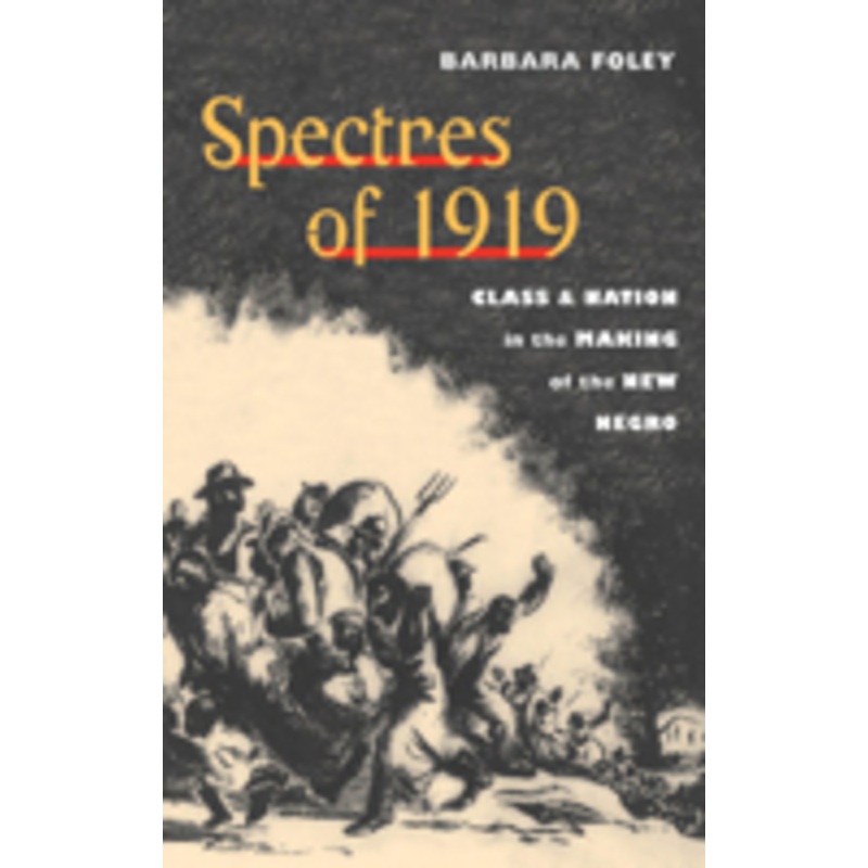 spectres of 1919: class and nation in the making of the new negro