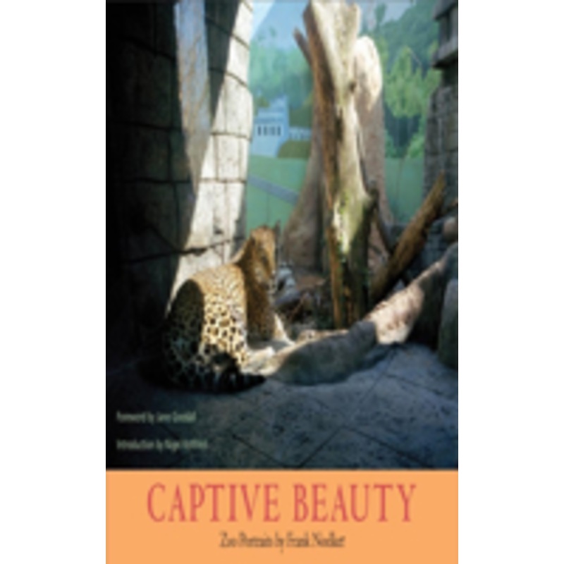 captive beauty: zoo portraits
