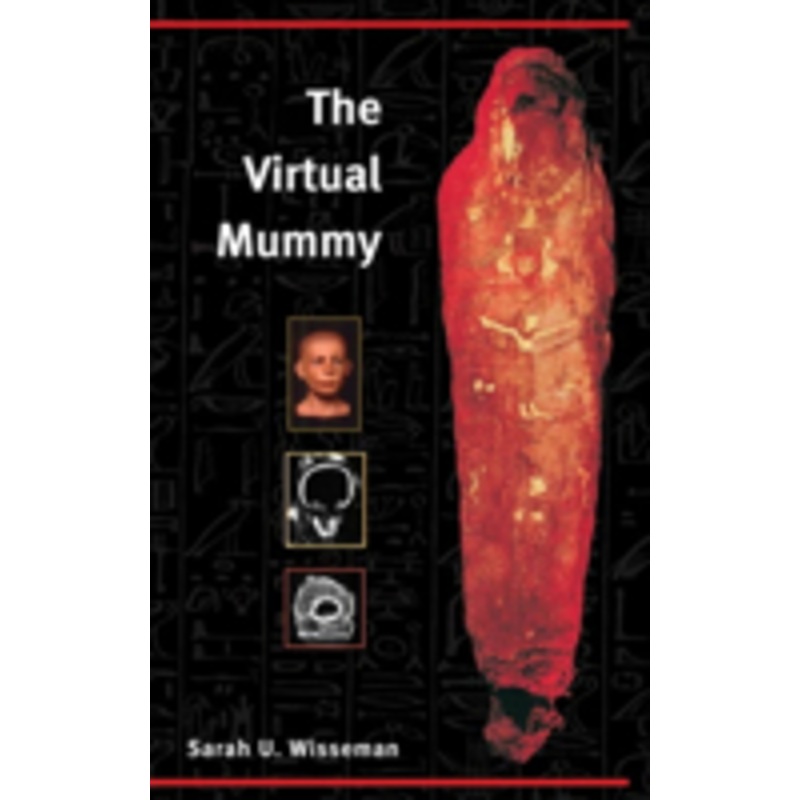 the virtual mummy