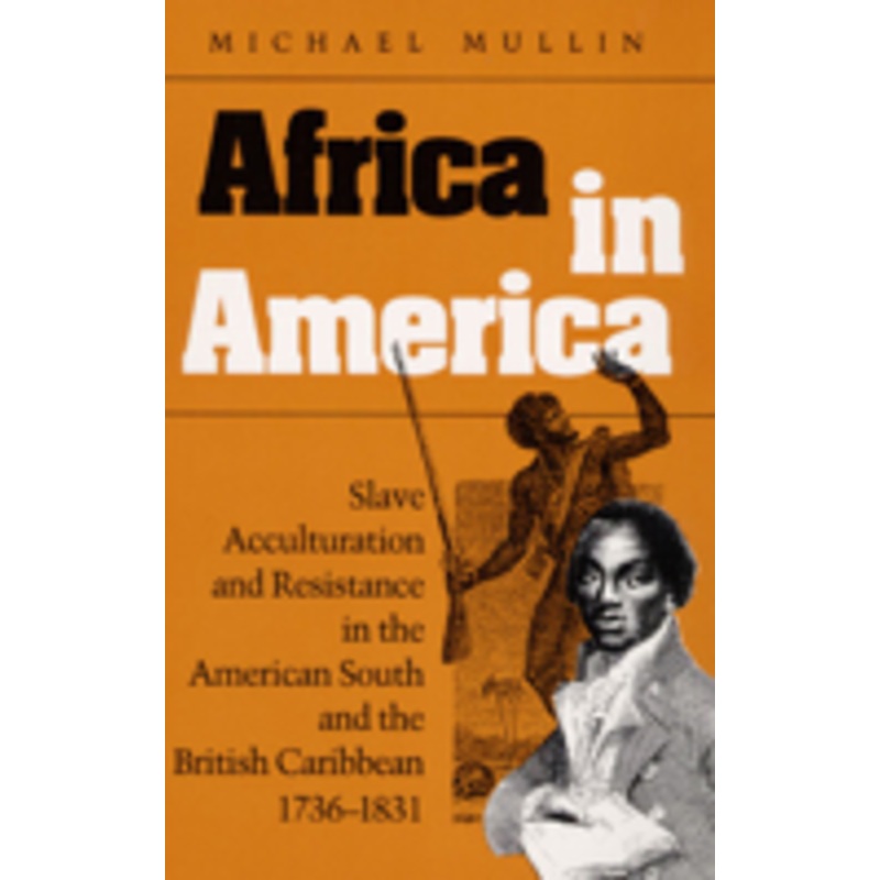 africa in america: slave acculturation and resistance in the american south and the british caribbean, 1736-1831