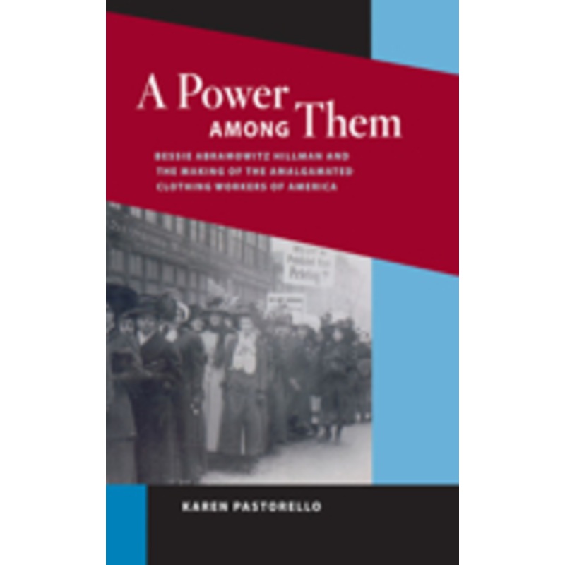 a power among them: bessie abramowitz hillman and the making of the amalgamated clothing workers of america