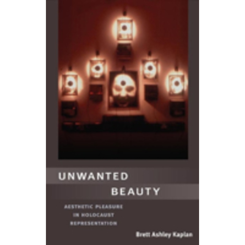 unwanted beauty: aesthetic pleasure in holocaust representation