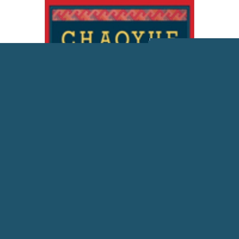chaoyue: advancing in chinese: a textbook for intermediate & preadvanced students