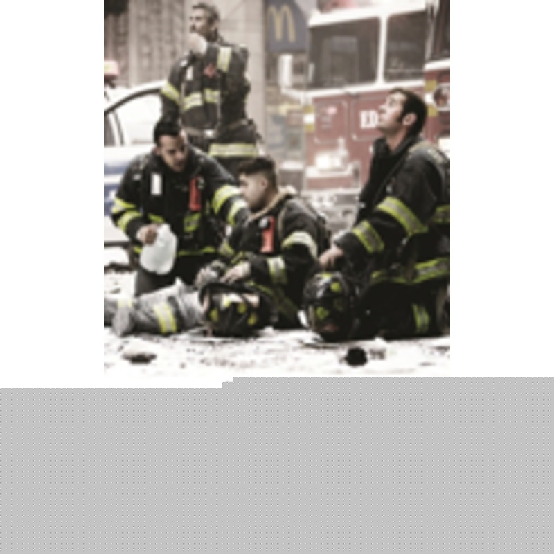 firestorm: american film in the age of terrorism