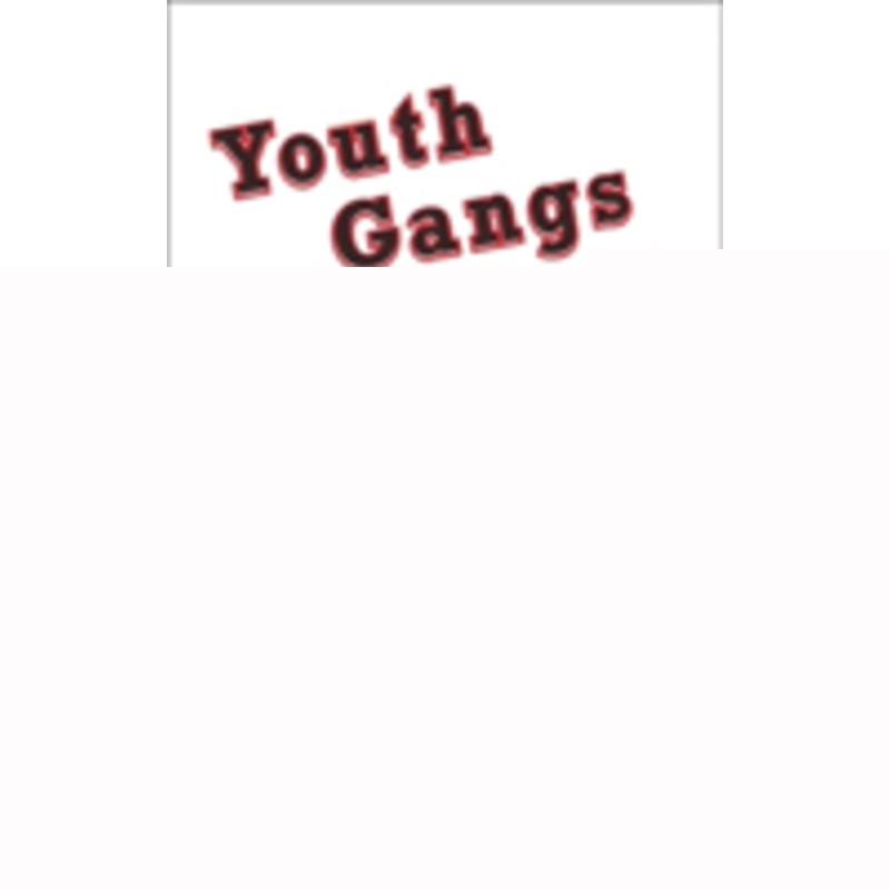 youth gangs and community intervention: research, practice, and evidence