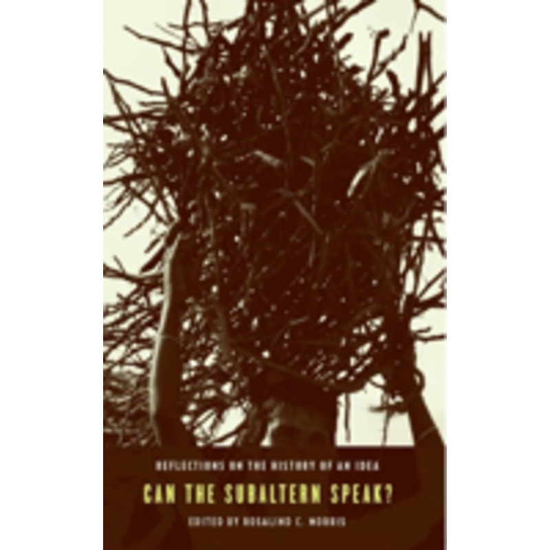can the subaltern speak?: reflections on the history of an idea