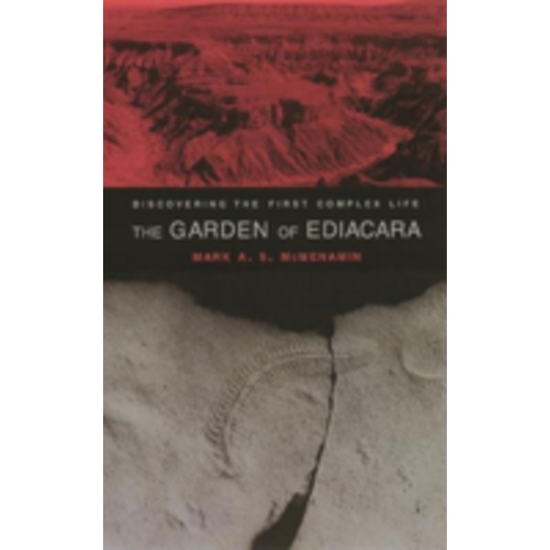 the garden of ediacara: discovering the first complex life