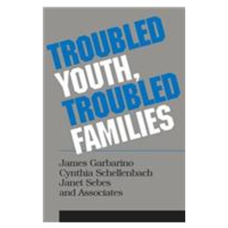 troubled youth, troubled families: understanding families at risk for adolescent maltreatment