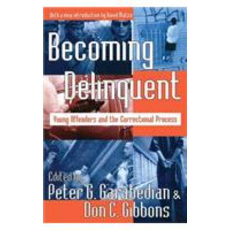 becoming delinquent: young offenders and the correctional process