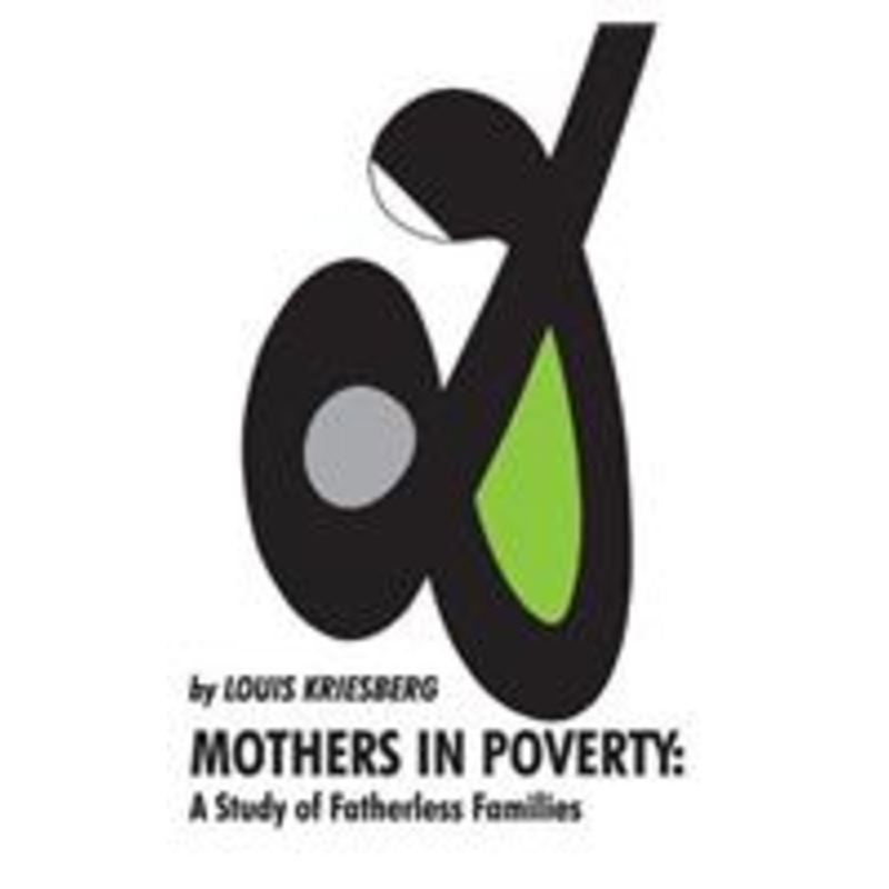 mothers in poverty: a study of fatherless families