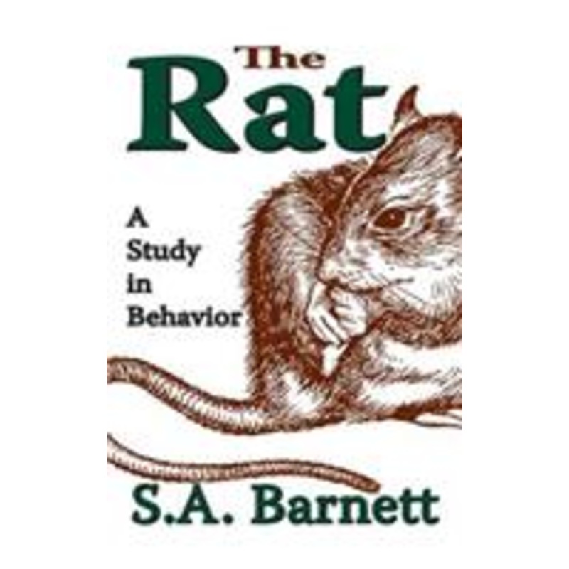 rat: a study in behavior