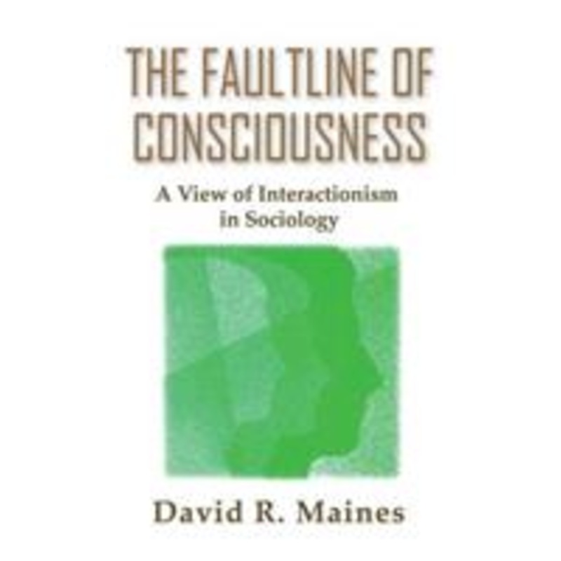 the faultline of consciousness: a view of interactionism in sociology