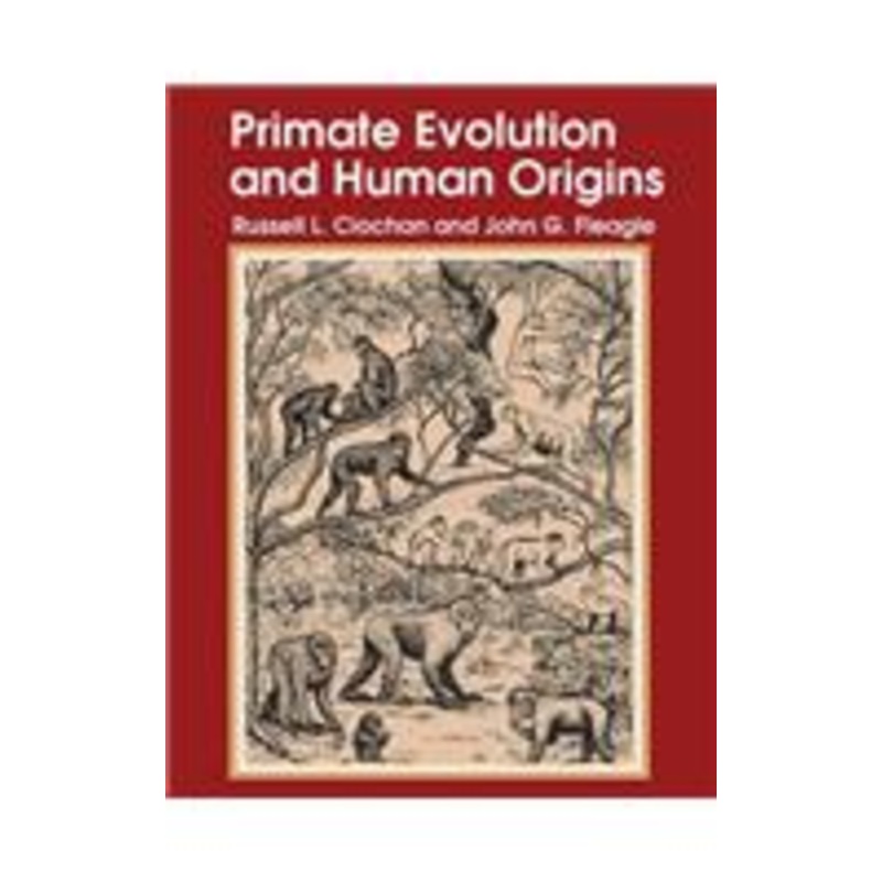 primate evolution and human origins