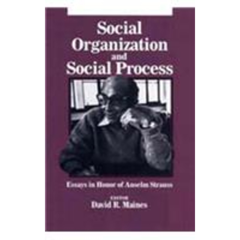 social organization and social process: essays in honor of anselm strauss