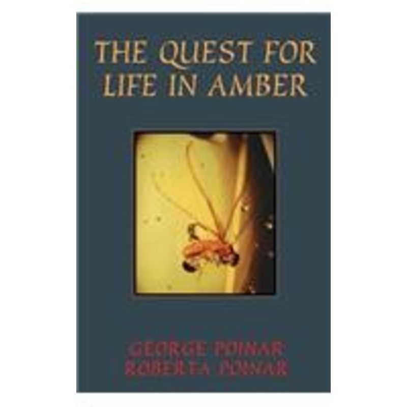 quest for life in amber